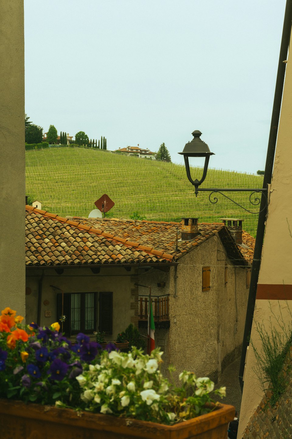 Vista di un borgo italiano da un arco con vigneti verdi e ondulati.